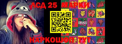 гидропоника Дубна