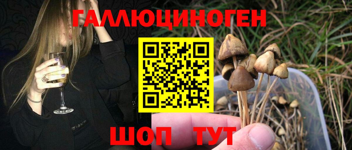 Галлюциногенные грибы MAGIC MUSHROOMS  Псилоцибиновые грибы MAGIC MUSHROOMS  Вход с VPN  Лениногорск 